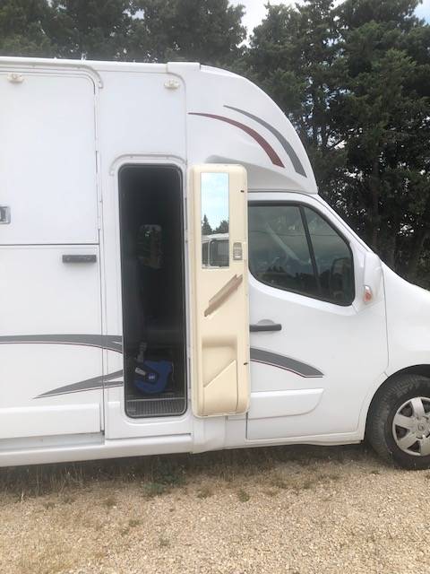 Furgoneta para caballos Trans Box sv 5 2019 De segunda mano