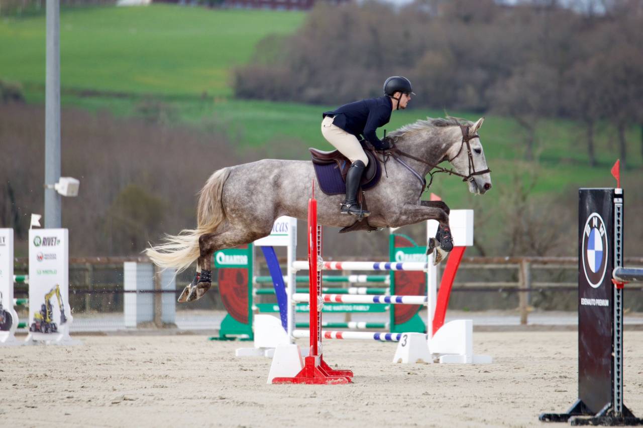 Caballo castrado Silla Franc&eacute;s En venta 2015 Roano por URANO DE CARTIGNY