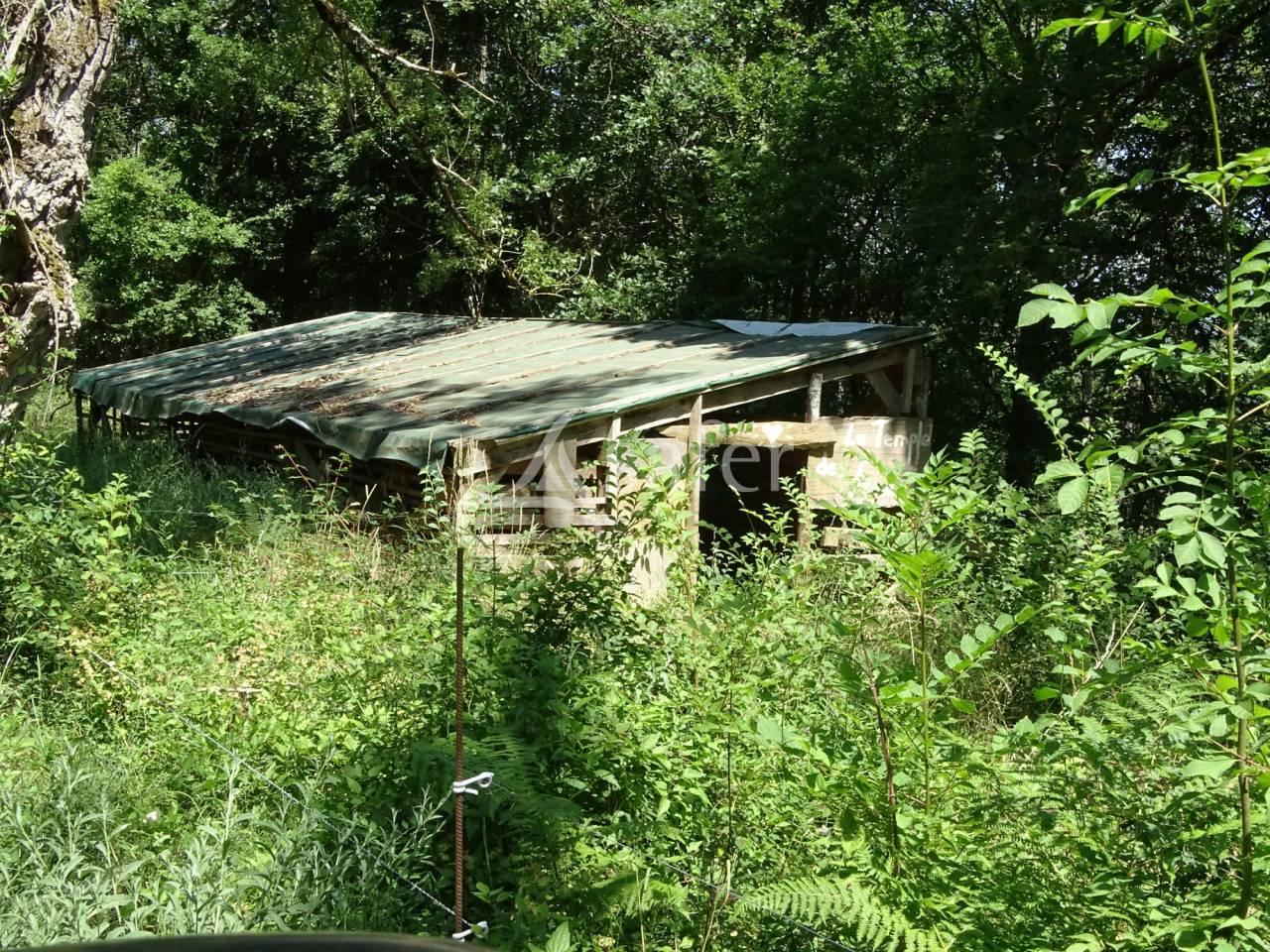 Propiedad rural En venta Aude
