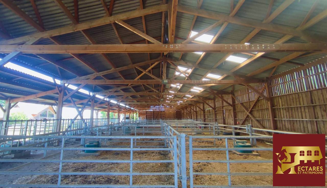 Propiedad ecuestre En venta Saona y Loira