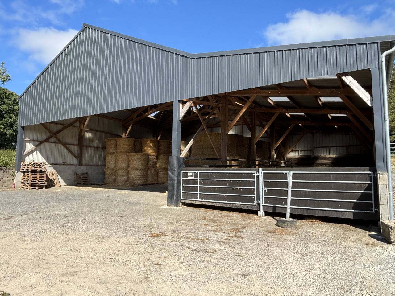Acaballadero En venta Mayenne