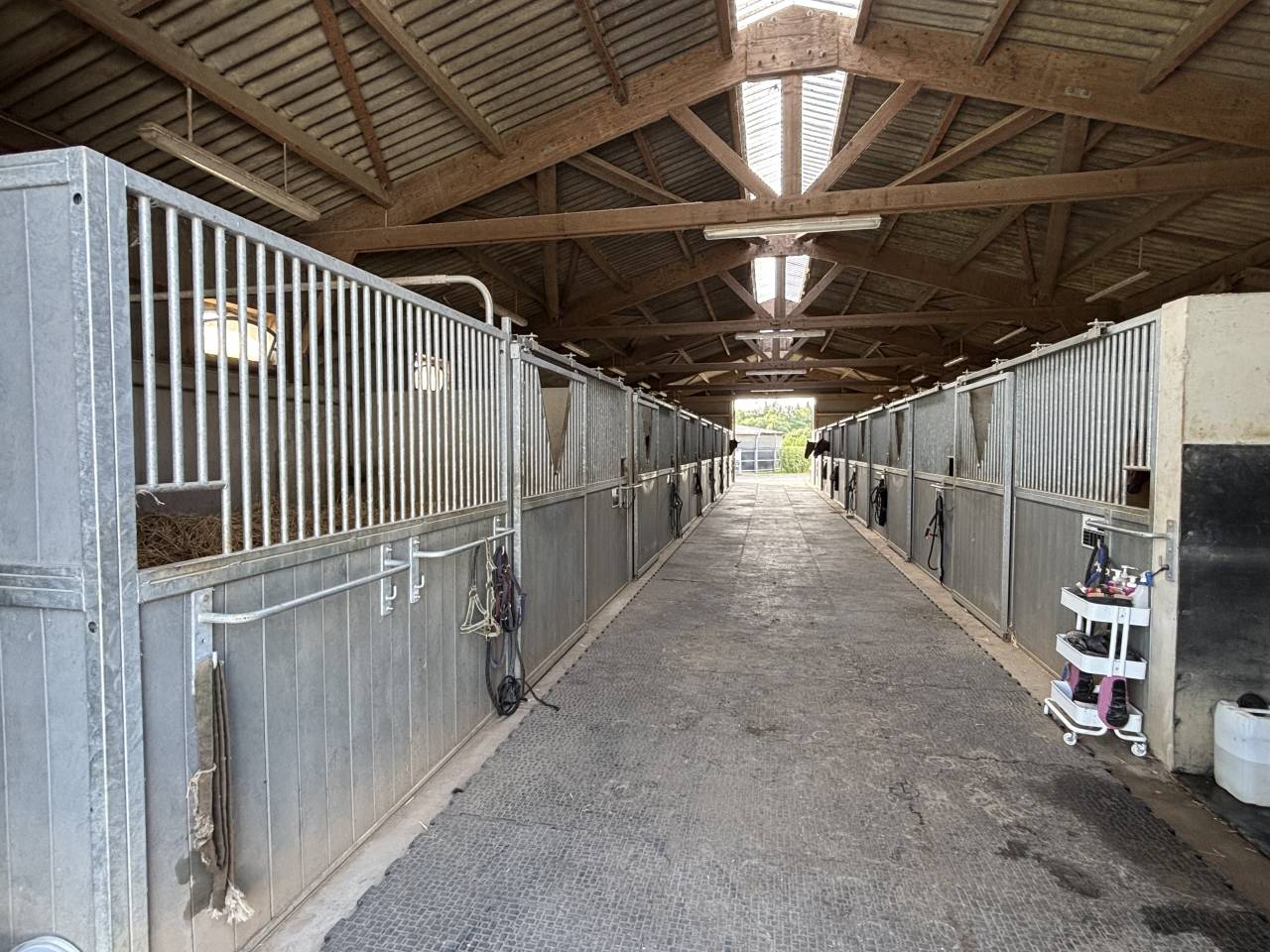 Acaballadero En venta Mayenne