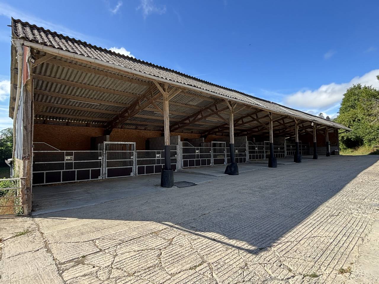 Acaballadero En venta Mayenne