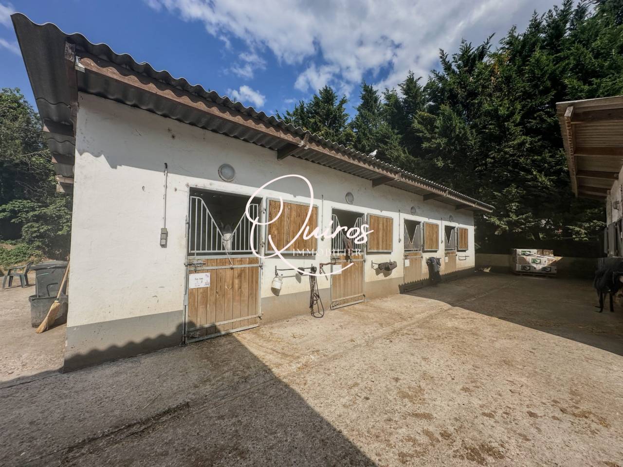 Propiedad ecuestre En venta Yvelines