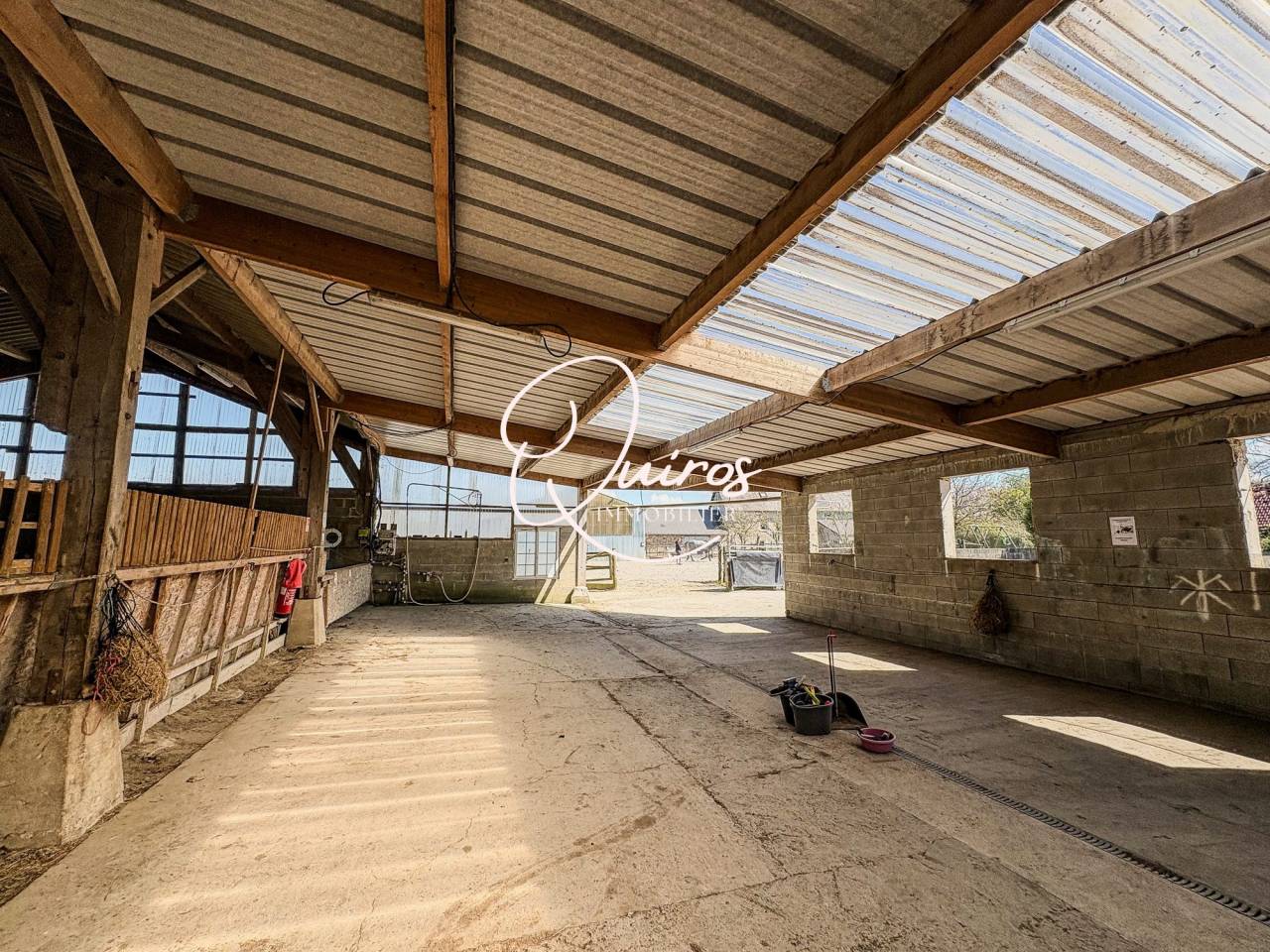 Propiedad ecuestre En venta Mancha