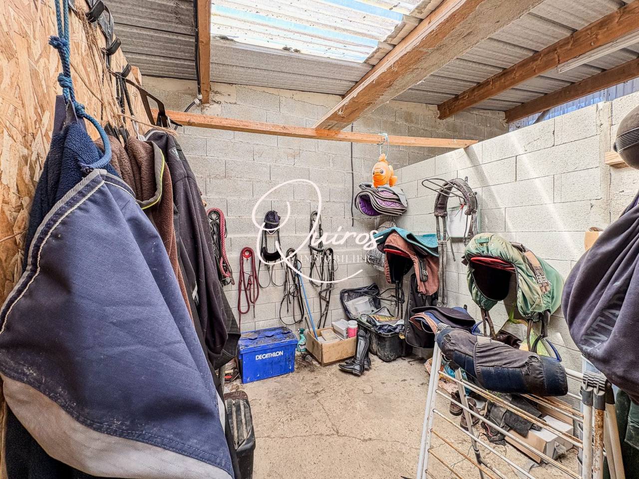 Propiedad ecuestre En venta Mancha