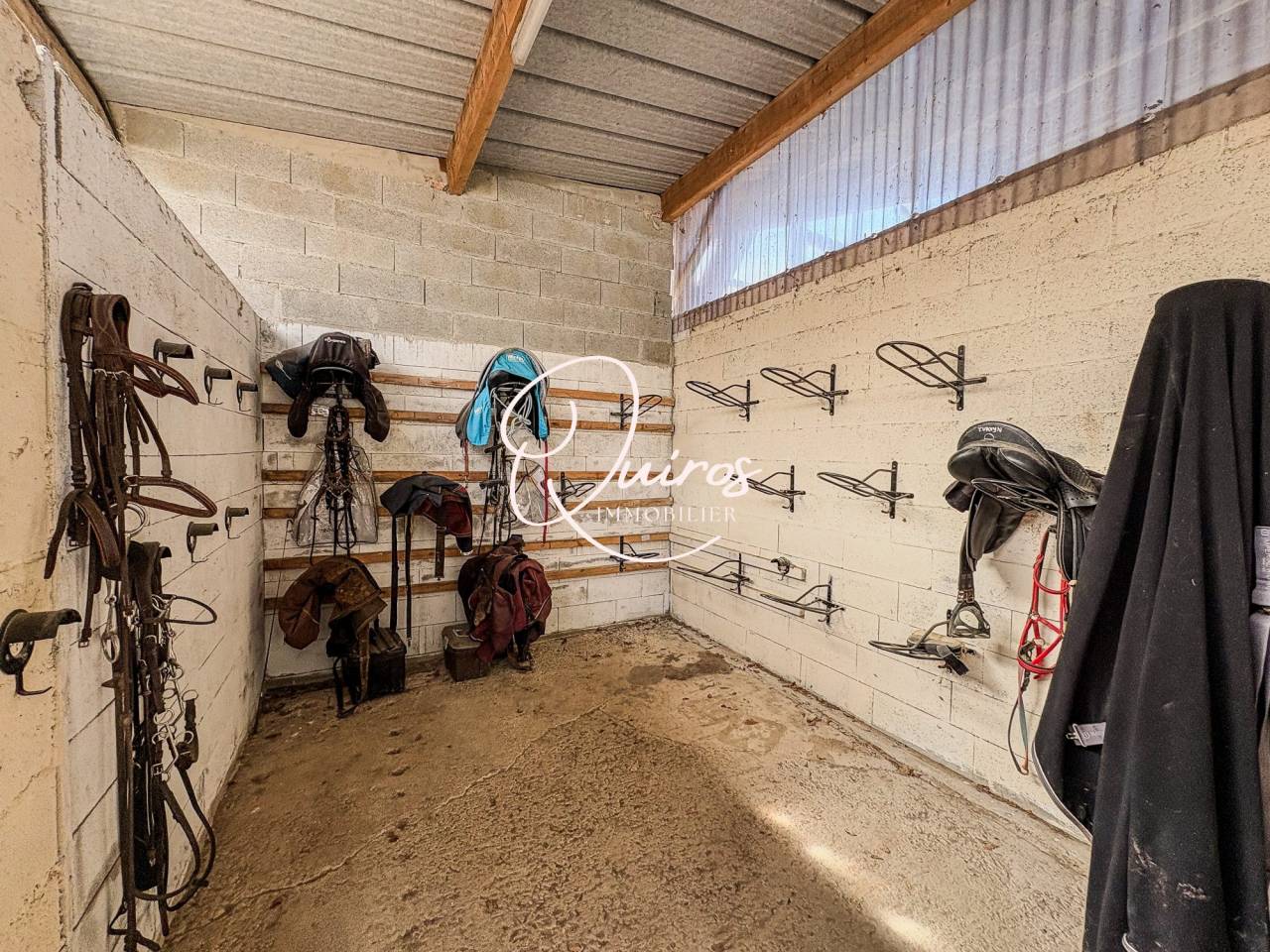 Propiedad ecuestre En venta Mancha