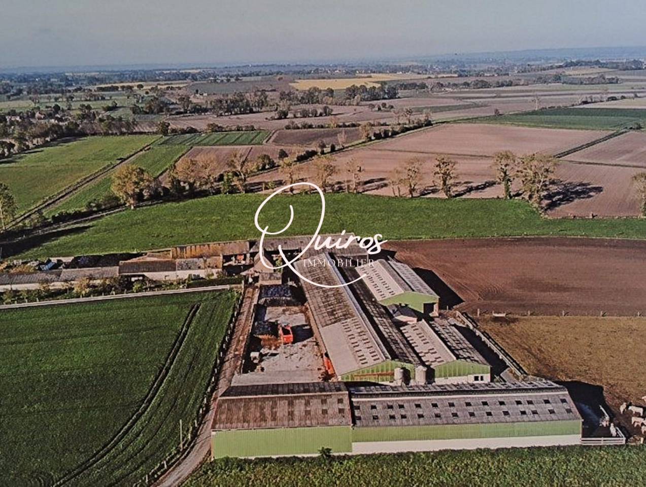 Propiedad ecuestre En venta Mancha
