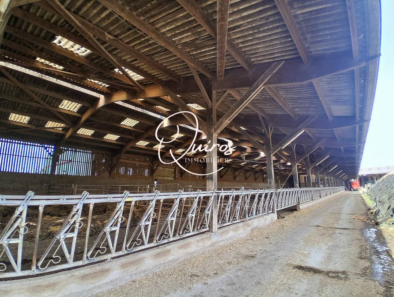 Propiedad ecuestre En venta Mancha