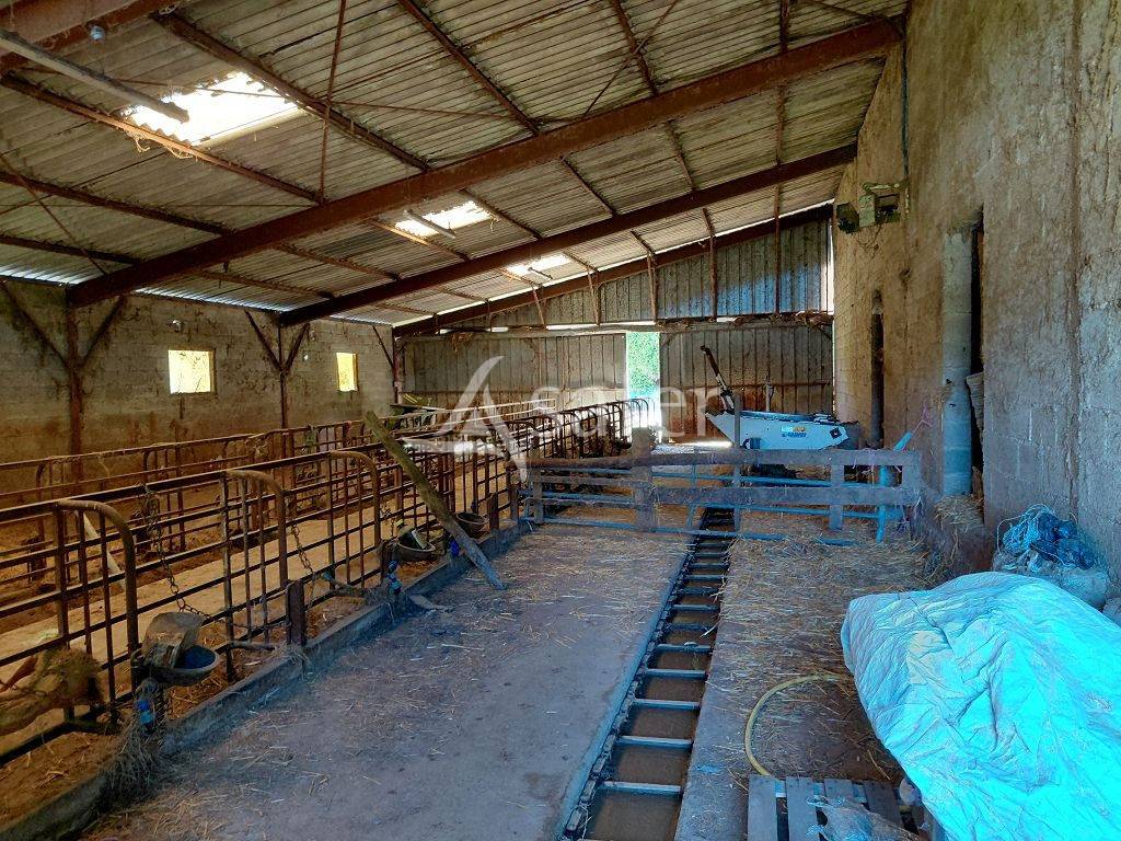 Explotaci&oacute;n agr&iacute;cola En venta Corr&egrave;ze