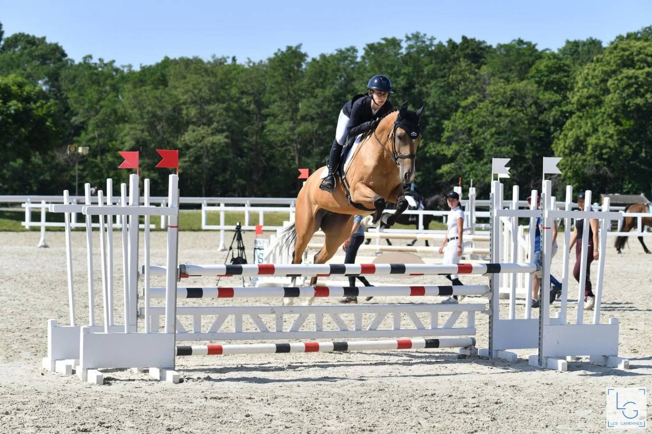 Yegua Akhal Teke En venta 2017 Isabelo