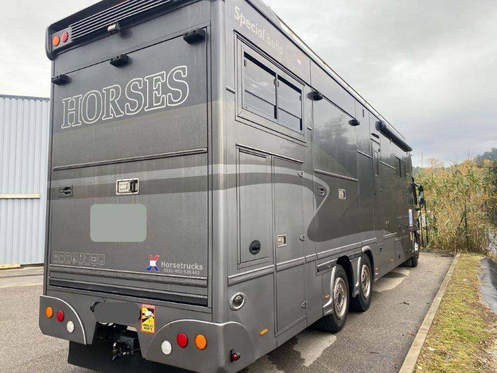 Cami&oacute;n para caballos Mercedes Mercedes Actros JK 2008 De segunda mano