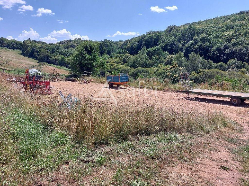 Explotaci&oacute;n agr&iacute;cola En venta Alto Vienne