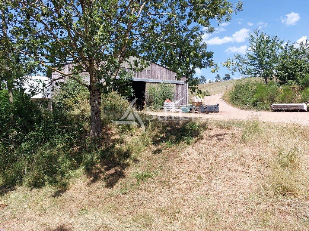 Explotaci&oacute;n agr&iacute;cola En venta Alto Vienne