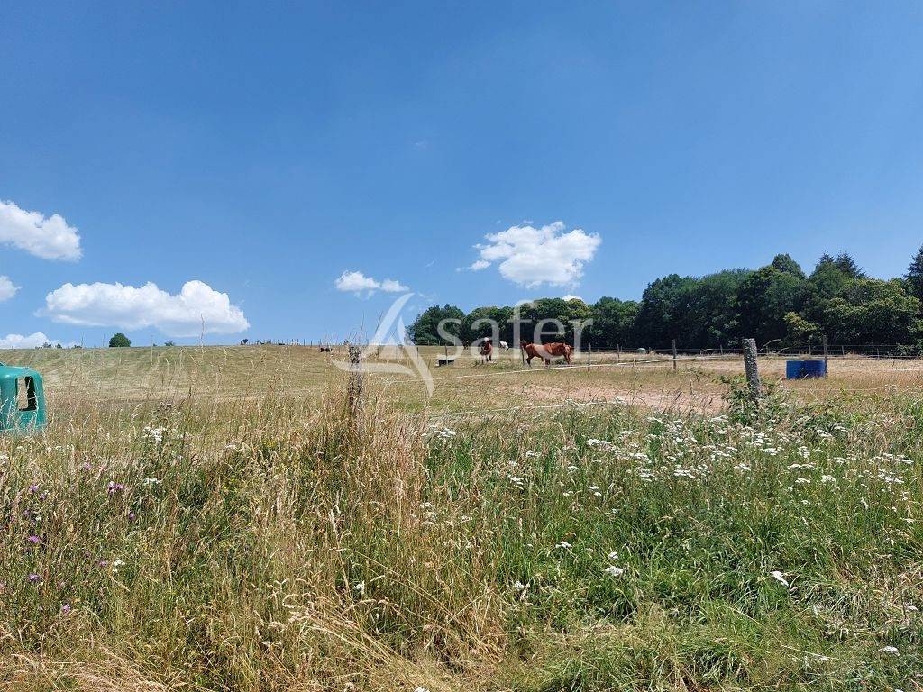 Explotaci&oacute;n agr&iacute;cola En venta Alto Vienne