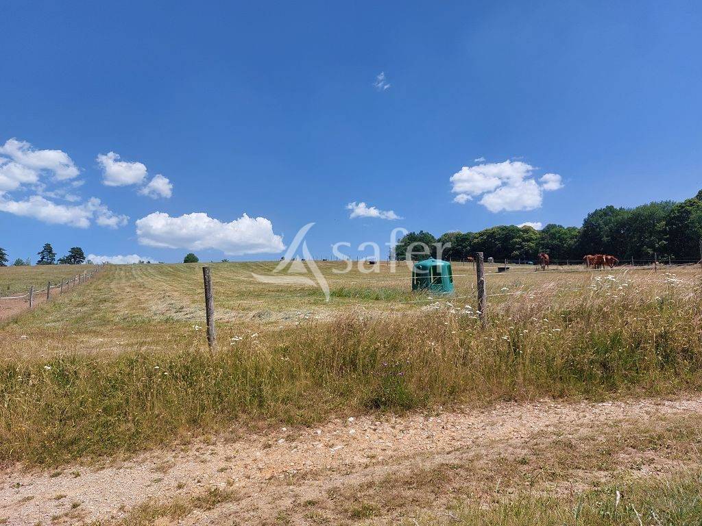 Explotaci&oacute;n agr&iacute;cola En venta Alto Vienne