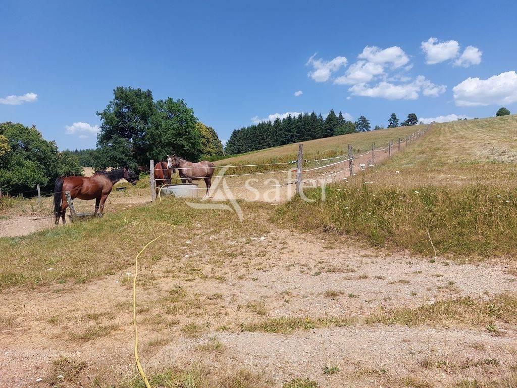 Explotaci&oacute;n agr&iacute;cola En venta Alto Vienne