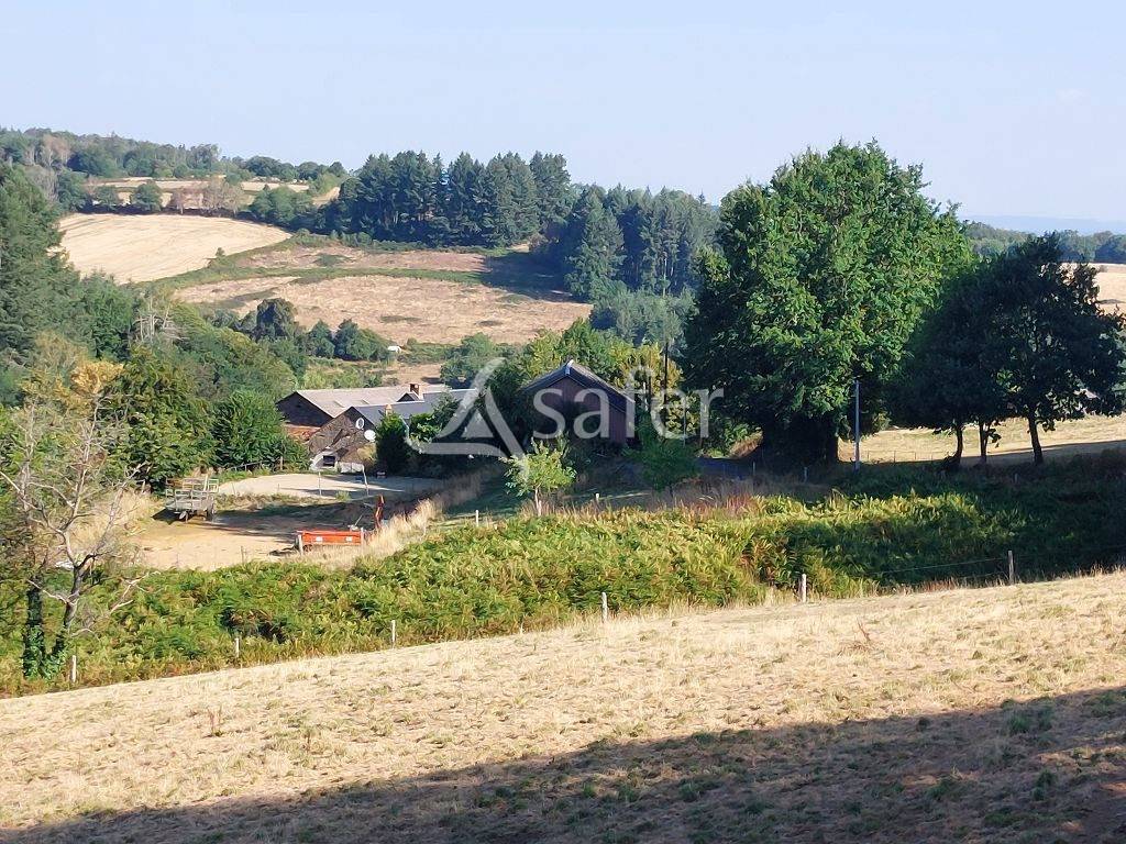 Explotaci&oacute;n agr&iacute;cola En venta Alto Vienne