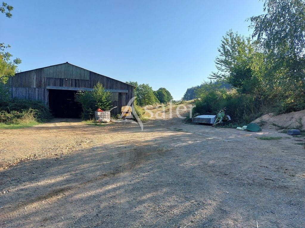 Explotaci&oacute;n agr&iacute;cola En venta Alto Vienne