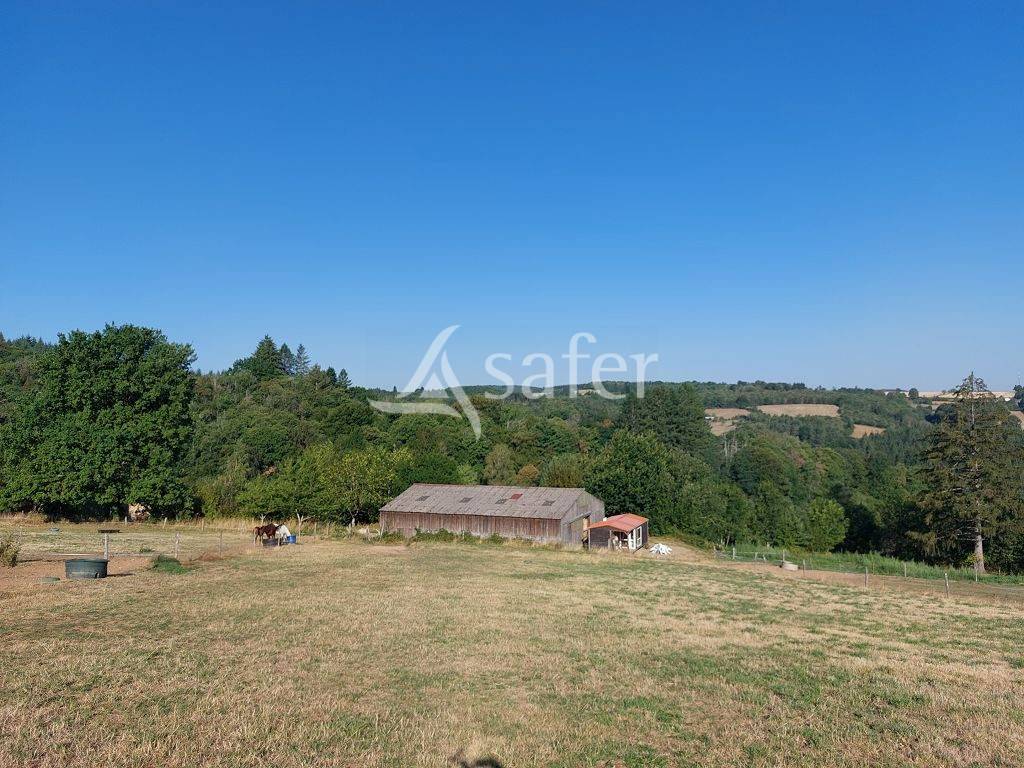 Explotaci&oacute;n agr&iacute;cola En venta Alto Vienne
