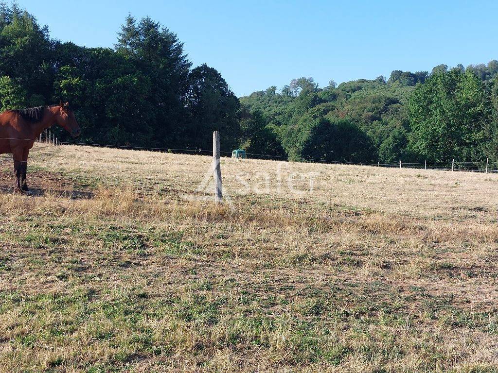 Explotaci&oacute;n agr&iacute;cola En venta Alto Vienne