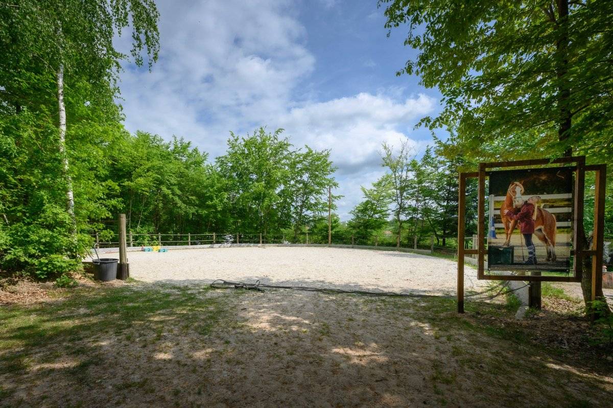 Centro ecuestre En venta Vosgos