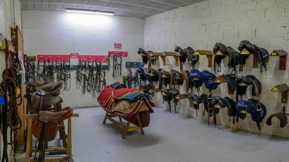 Centro ecuestre En venta Vosgos