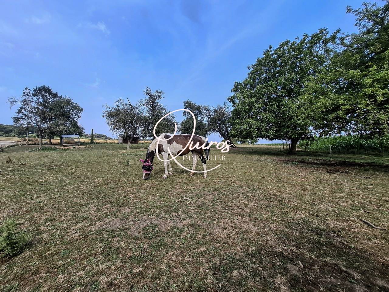 Propiedad ecuestre En venta Orne
