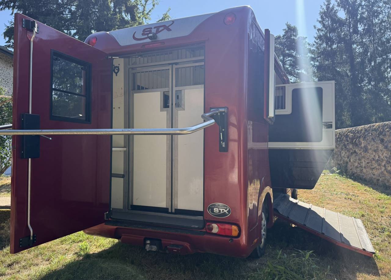 Furgoneta para caballos Renault Renault Master DCI 150 STX mod&egrave;le Stalle 2015 De segunda mano