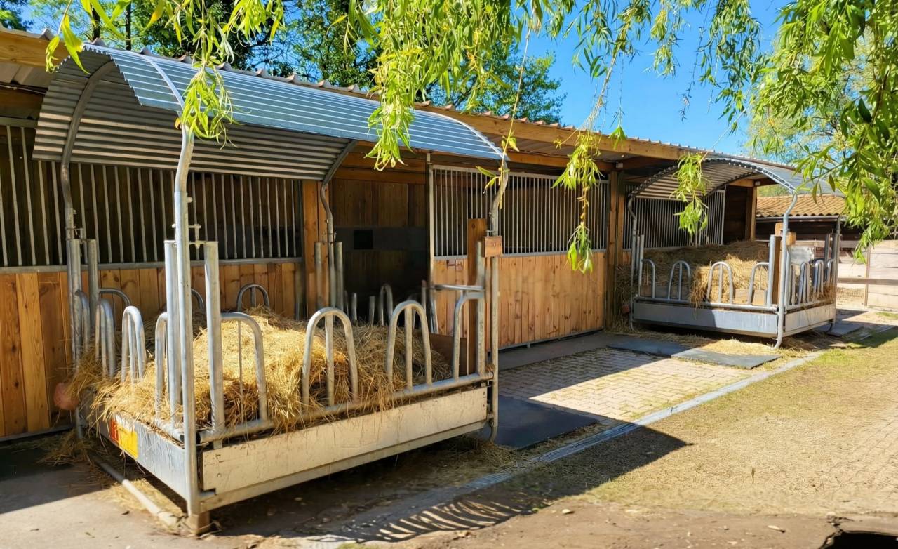 Propiedad ecuestre En venta Ain