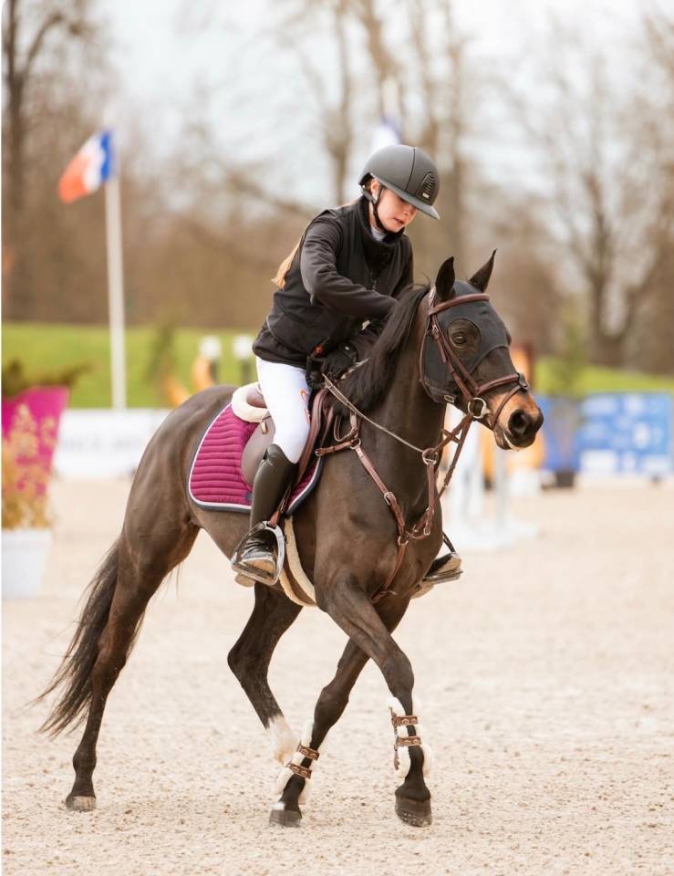 Yegua PFS Poni Fran&ccedil;&eacute;s de Silla Pr&eacute;stamo 2017 Negro por WELCOME SYMPATICO