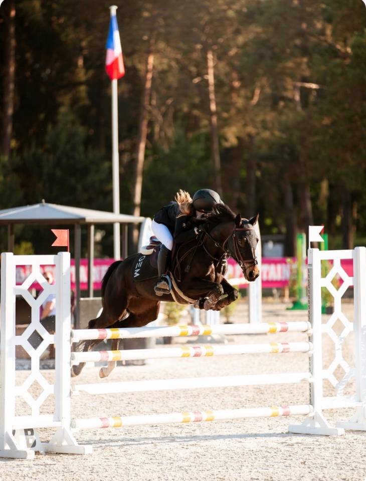 Yegua PFS Poni Fran&ccedil;&eacute;s de Silla Pr&eacute;stamo 2017 Negro por WELCOME SYMPATICO