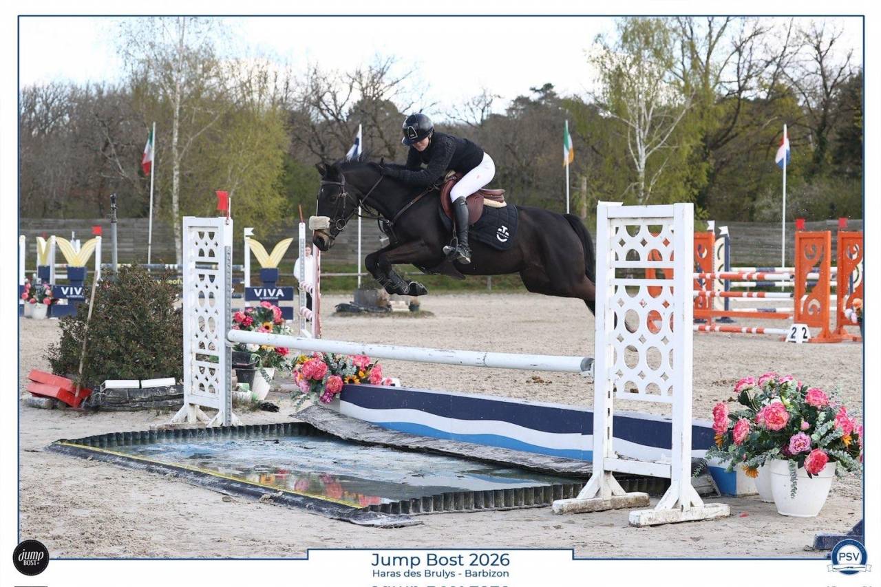 Yegua PFS Poni Fran&ccedil;&eacute;s de Silla Pr&eacute;stamo 2017 Negro por WELCOME SYMPATICO
