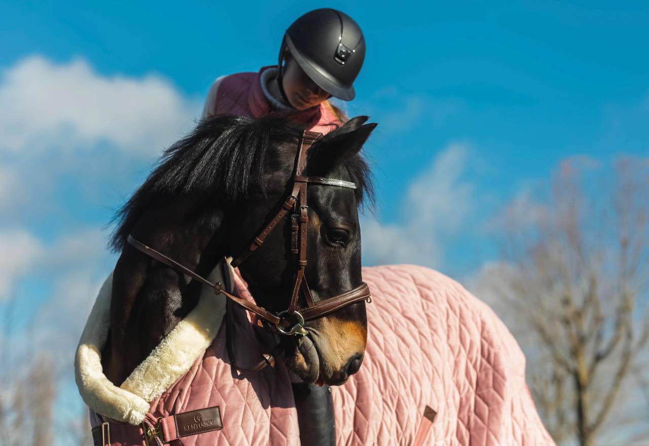 Yegua PFS Poni Fran&ccedil;&eacute;s de Silla Pr&eacute;stamo 2017 Negro por WELCOME SYMPATICO