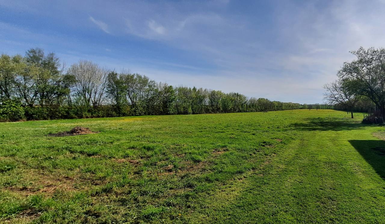 Bonita residencia ecuestre En venta Charente Mar&iacute;timo
