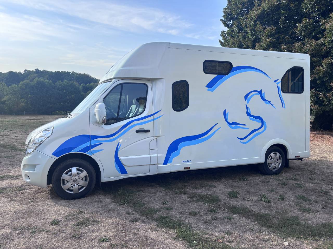 Furgoneta para caballos Renault Master Proteo 2010 De segunda mano