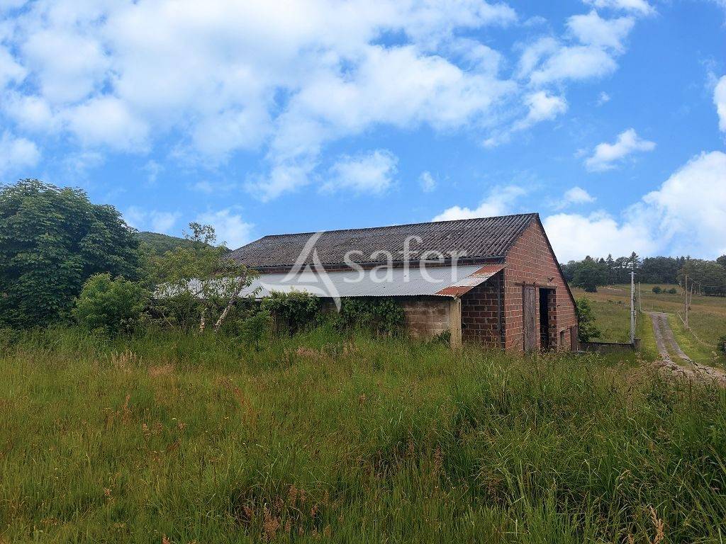 Explotaci&oacute;n agr&iacute;cola En venta Alto Vienne