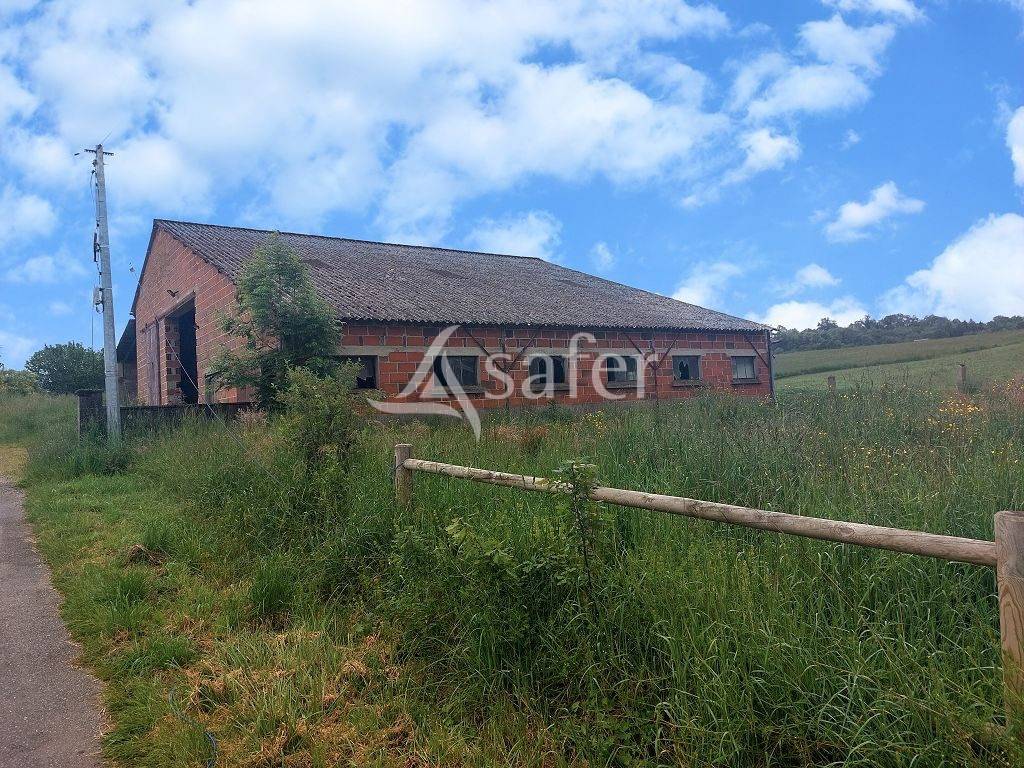 Explotaci&oacute;n agr&iacute;cola En venta Alto Vienne