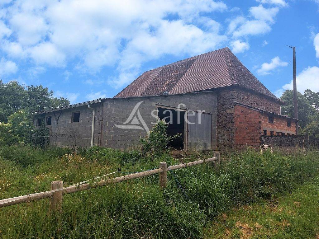 Explotaci&oacute;n agr&iacute;cola En venta Alto Vienne