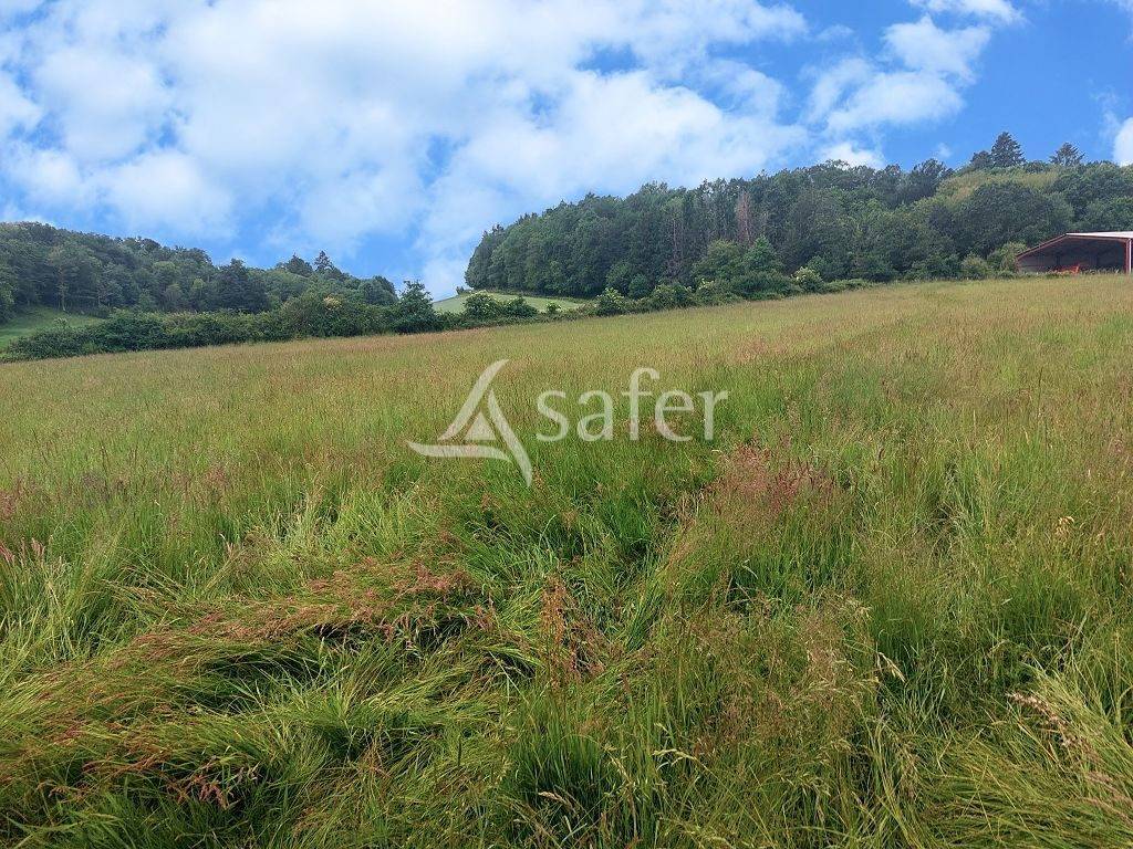 Explotaci&oacute;n agr&iacute;cola En venta Alto Vienne