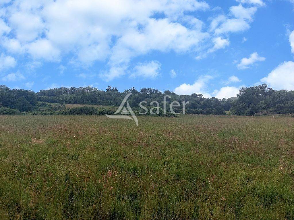 Explotaci&oacute;n agr&iacute;cola En venta Alto Vienne