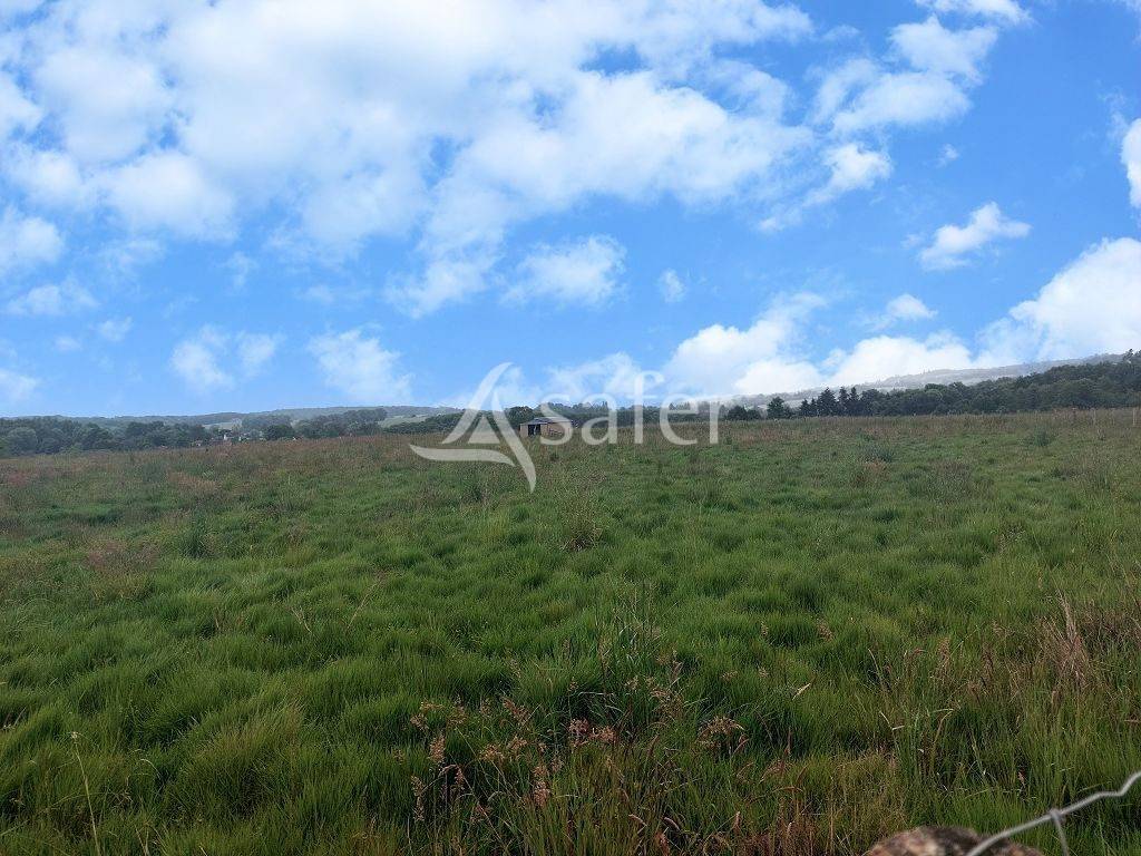 Explotaci&oacute;n agr&iacute;cola En venta Alto Vienne