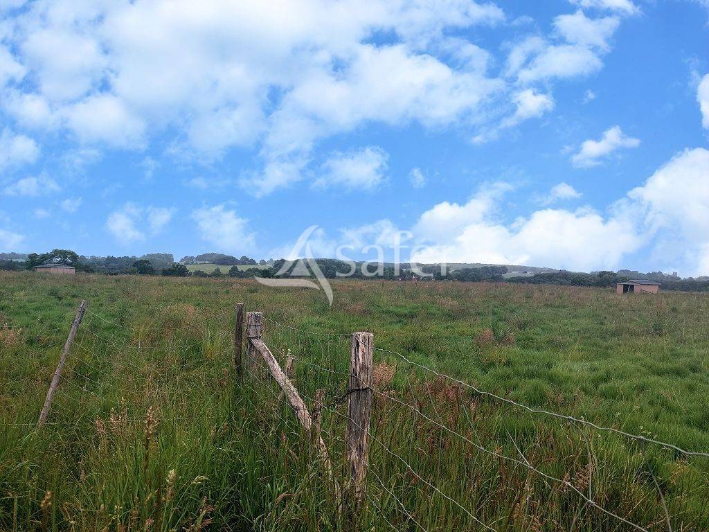 Explotaci&oacute;n agr&iacute;cola En venta Alto Vienne