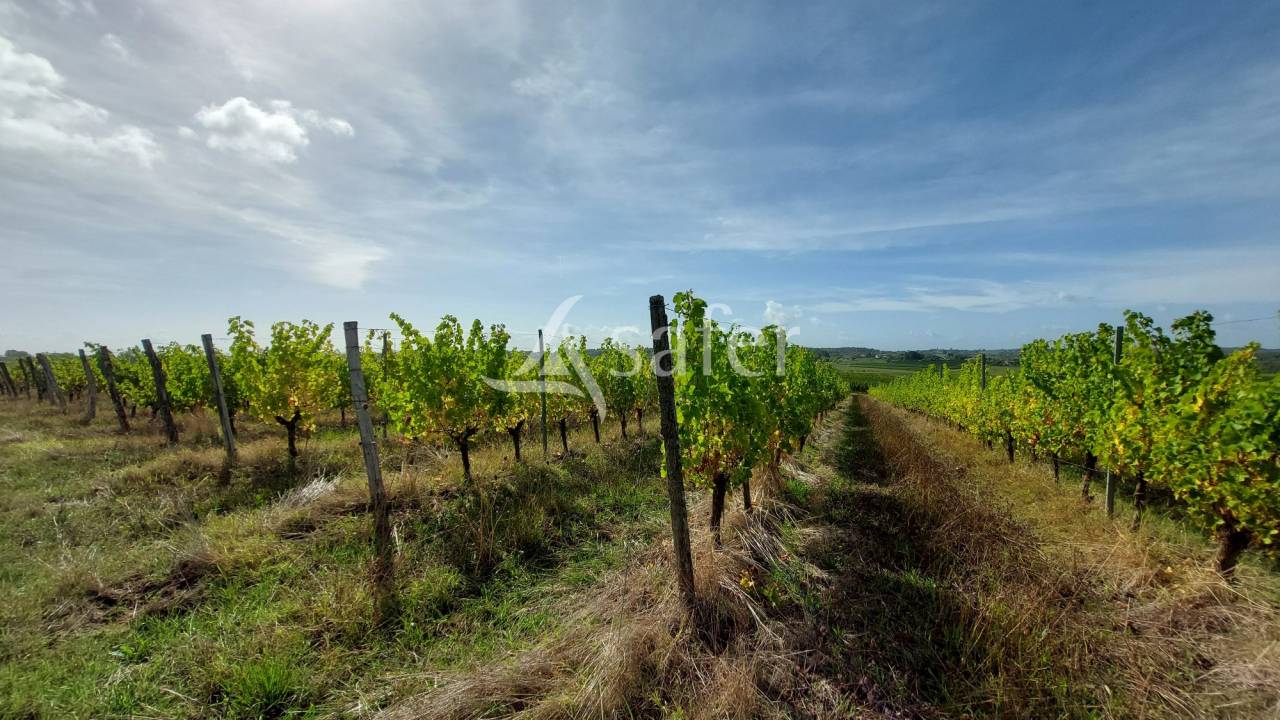 Propiedad rural En venta Gironda
