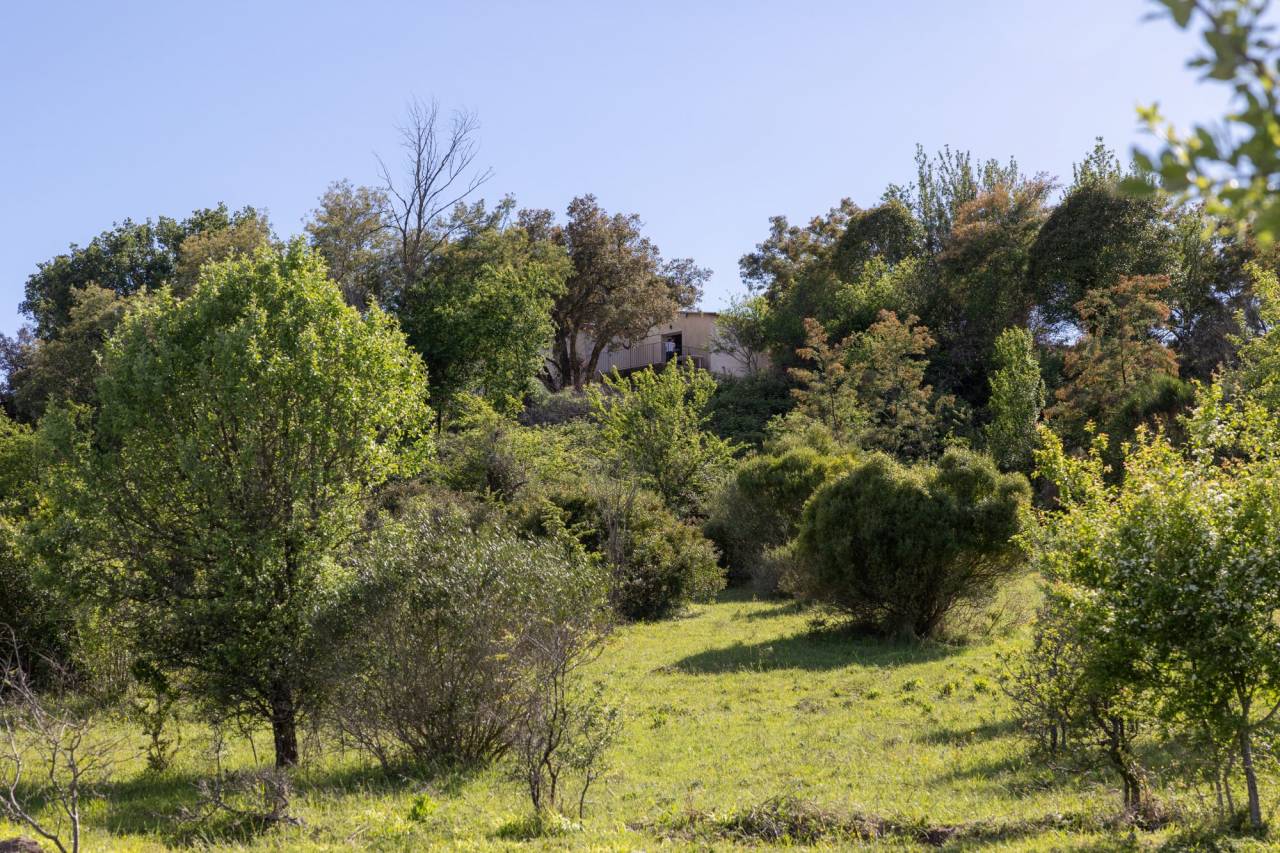 Propiedad ecuestre En venta Alpes Mar&iacute;timos
