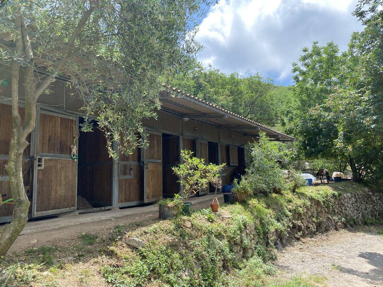 Propiedad ecuestre En venta Alpes Mar&iacute;timos