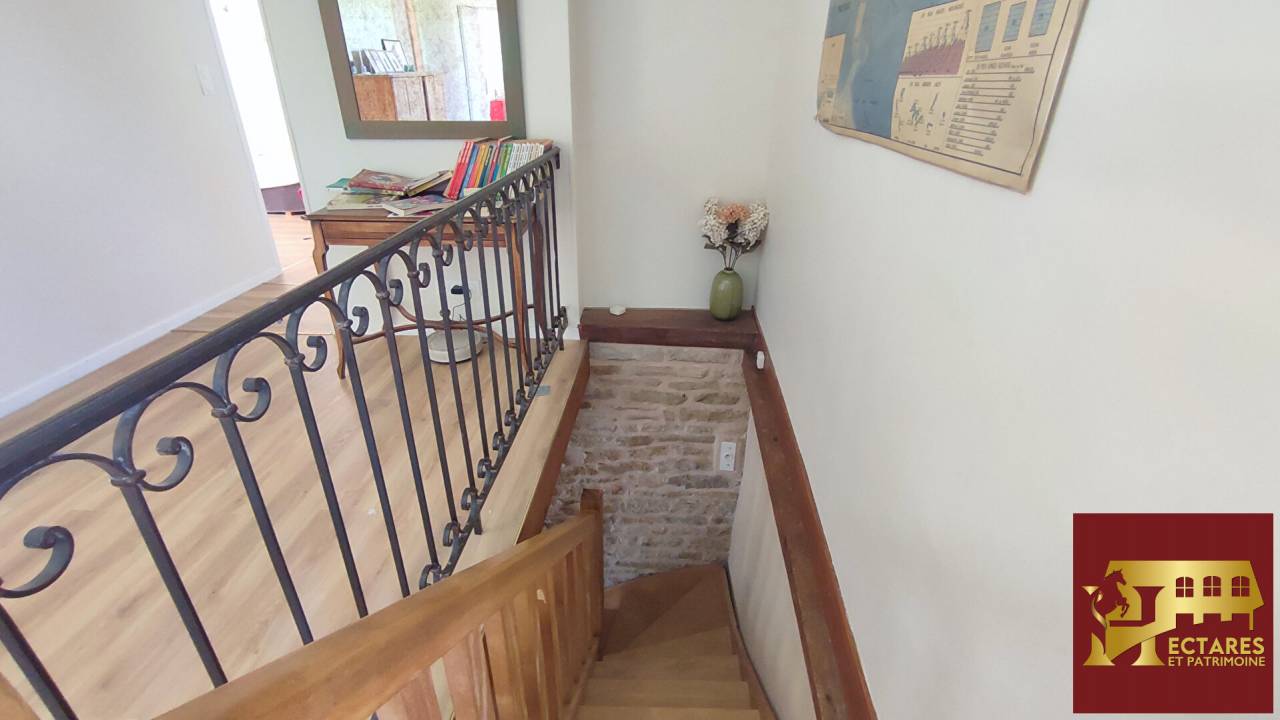 Albergue ecuestre En venta Saona y Loira