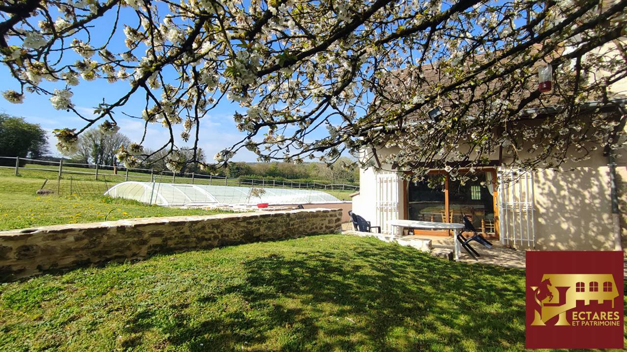 Albergue ecuestre En venta Saona y Loira