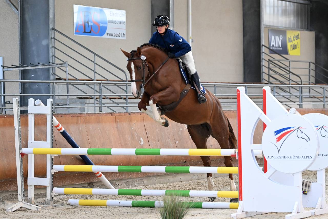 Yegua Silla Franc&eacute;s En venta 2022 Alaz&aacute;n por festival d'argouges