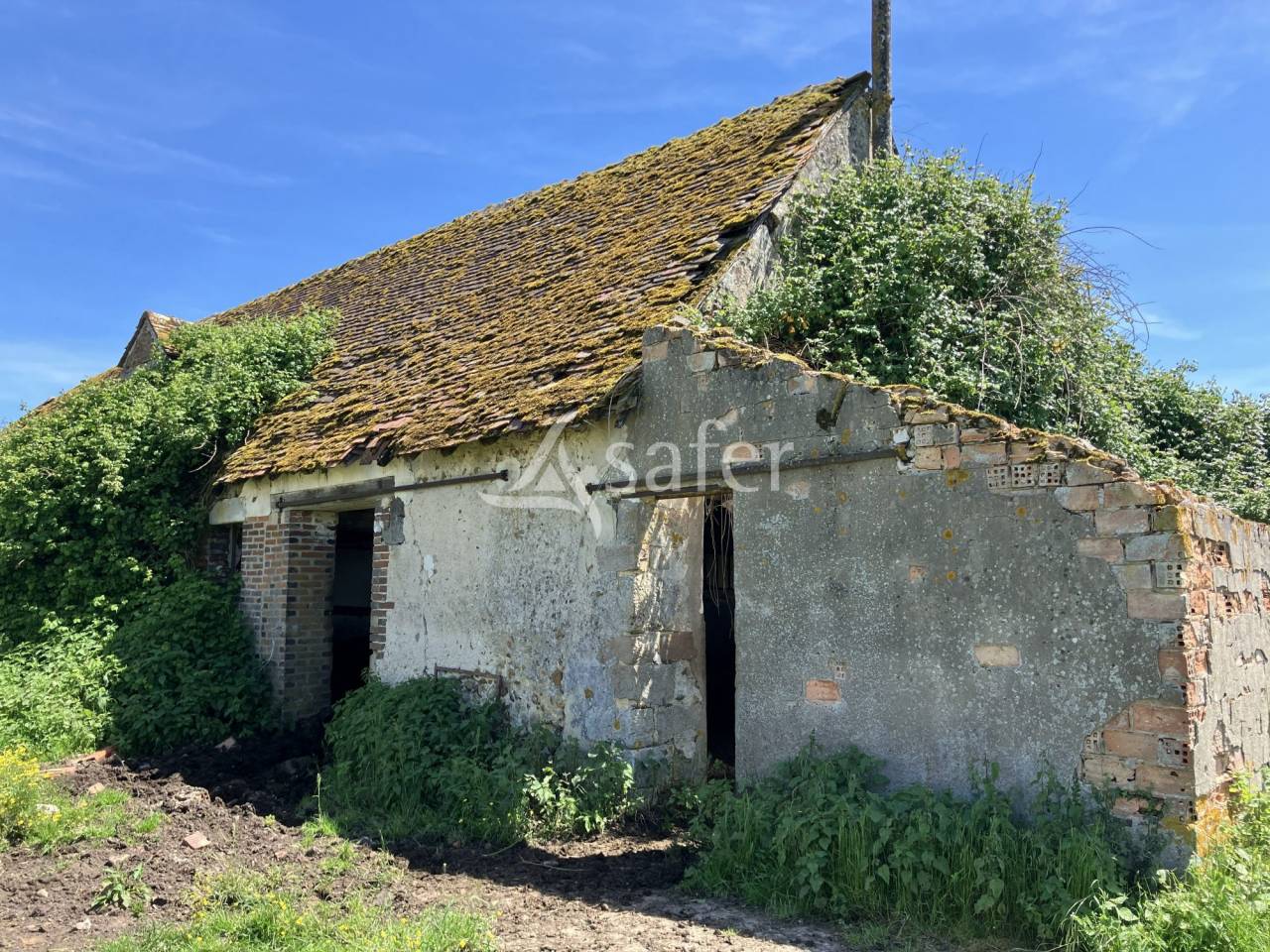Explotaci&oacute;n agr&iacute;cola En venta Loiret